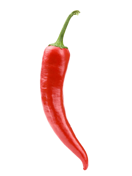 chilli pepper